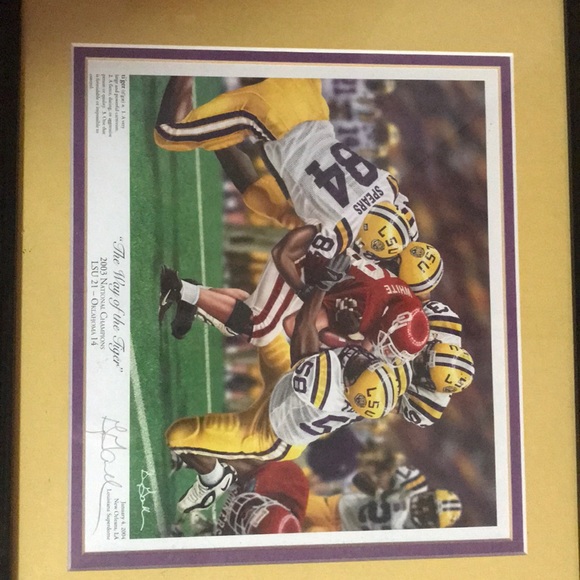 LSU The Way of the Tiger!